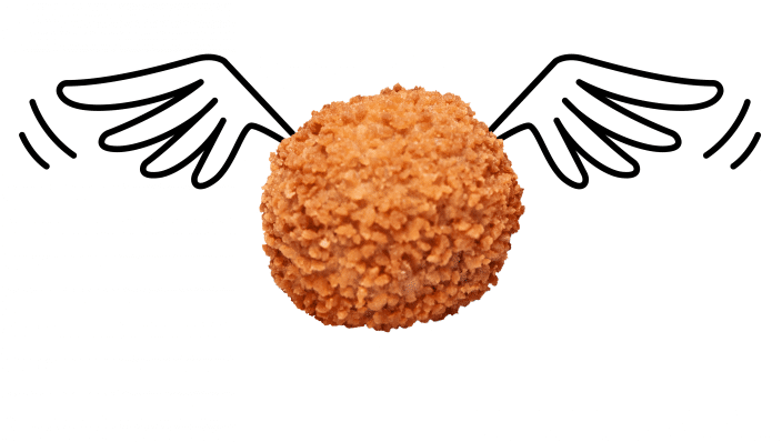 vlambal-febo-gewoonvoorhem.png
