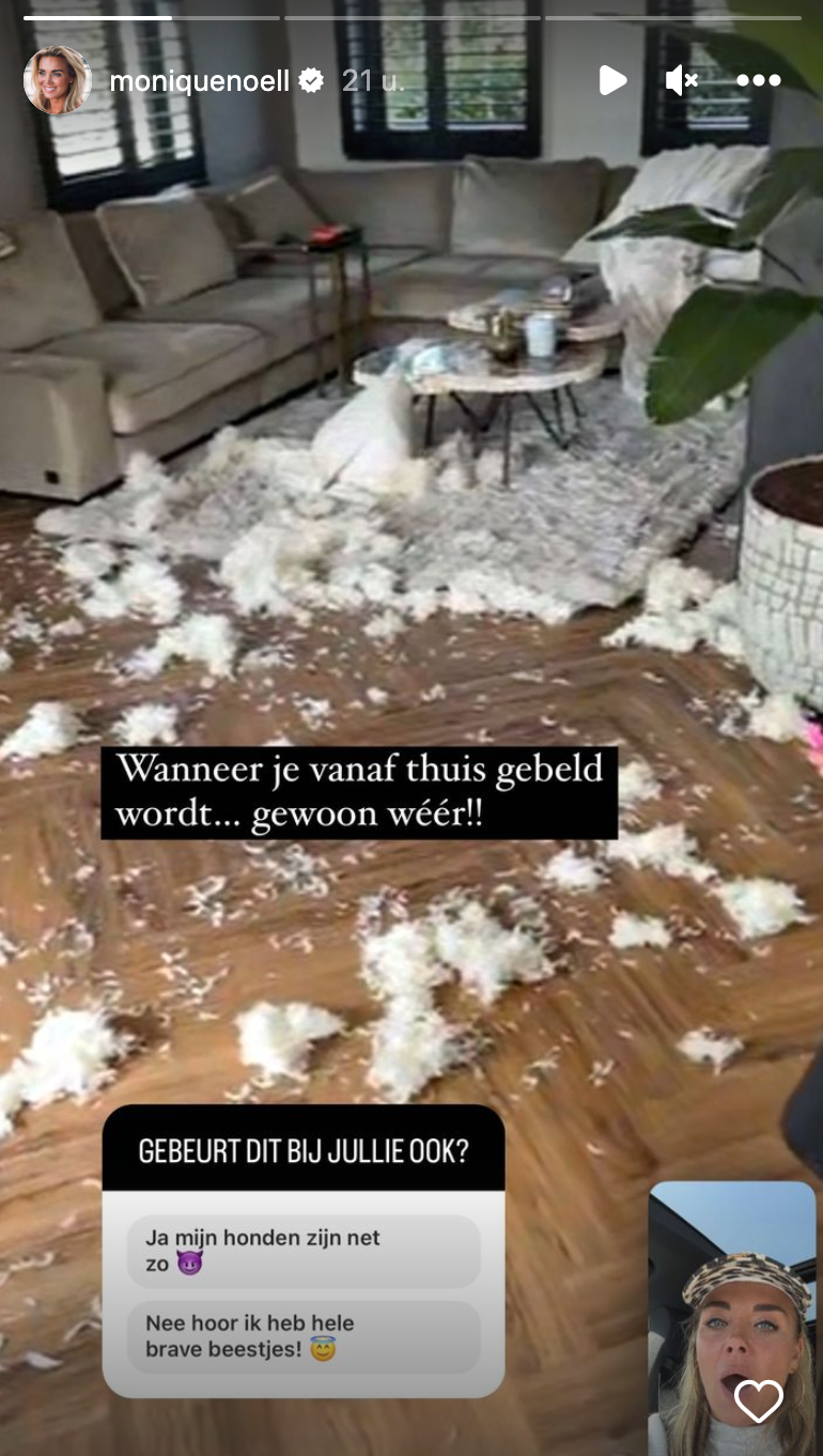Monique Westenberg met handen in het haar: 'Dit kan niet'
